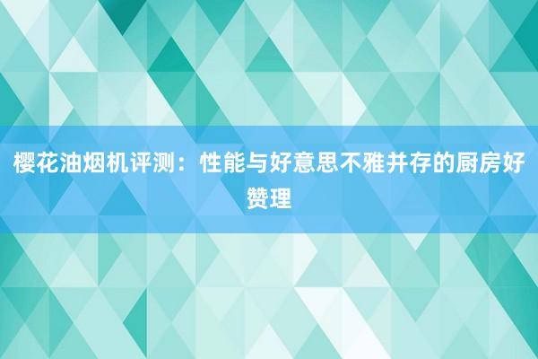 樱花油烟机评测：性能与好意思不雅并存的厨房好赞理